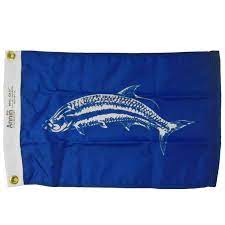 Boating &amp; Fun Nautical flags